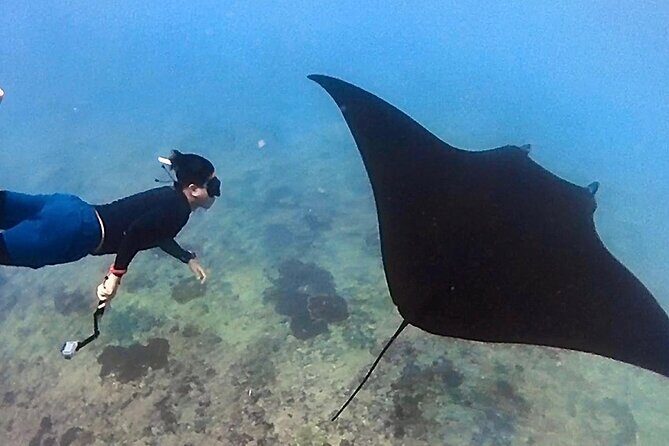 Private All Inclusive Nusa Penida Snorkeling and Tour - A Day of Adventure and Scenic Beauty