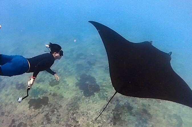 Private All Inclusive Nusa Penida Snorkeling and Tour - Kelingking Beach: The Iconic Cliffhanger