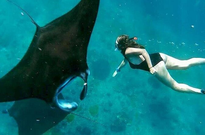 Private All Inclusive Nusa Penida Snorkeling and Tour - Logistics and Practical Details