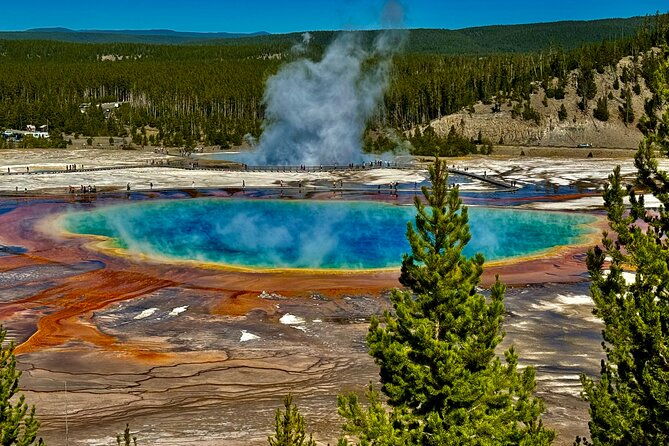 private-all-inclusive-yellowstone-lower-loopthe-volcano-tours