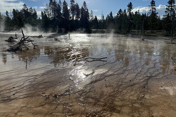private-all-inclusive-yellowstone-lower-loopthe-volcano-tours