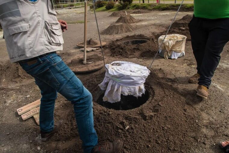 private-all-of-furnas-tea-plantation-beija-included