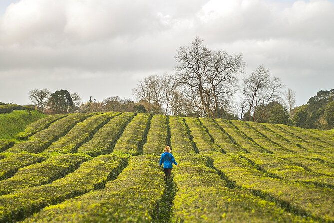 private-all-of-furnas-tea-plantation-ticket-to-beija-included-2