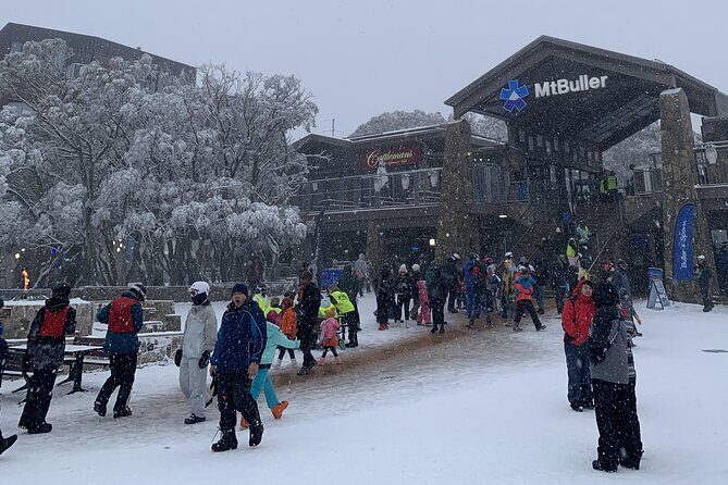 Private Alpine Day Tour from Melbourne to Mount Buller - An in-depth look at the experience