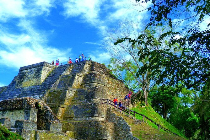 private-altun-ha-maya-ruin-zip-line-adventure-from-belize-city