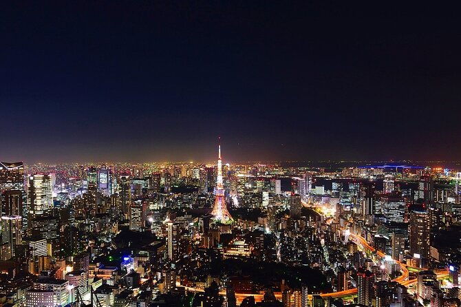 private-amazing-tokyo-night-tour-with-english-speaking-driver