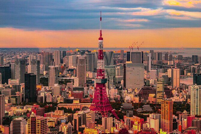 Private and Customisable Tokyo Tour with English Driver-guide - Discovering Tokyo on Your Terms: A Complete Review of the Private and Customisable Tokyo Tour with an English Driver-Guide