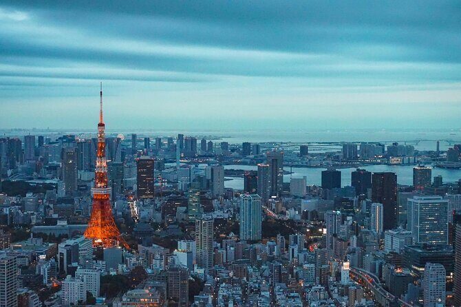 Private and Customisable Tokyo Tour with English Driver-guide - Why This Tour Offers Great Value