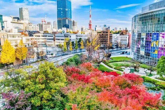 Private and Customisable Tokyo Tour with English Driver-guide - Who Should Book This Tour?