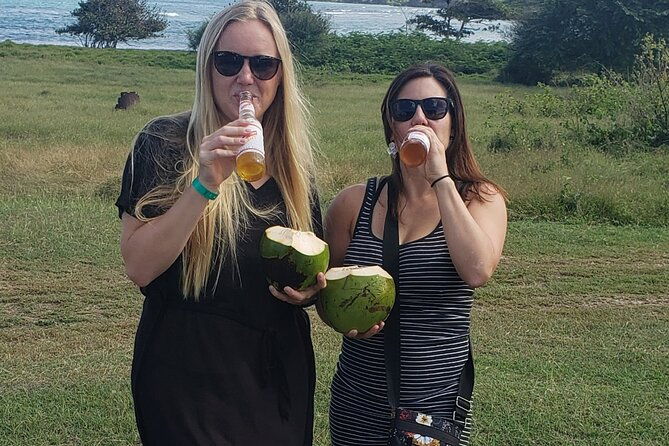 private-and-customized-montego-bay-city-tour