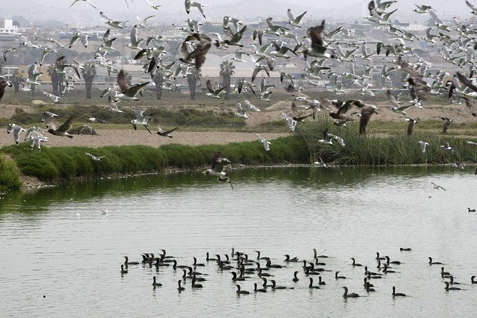 private-and-exclusive-nature-and-trek-in-chorrillos