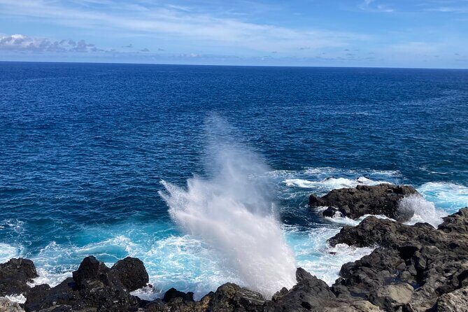 Private and Guided Day Tour of Reunion Island - What Makes This Tour Stand Out?