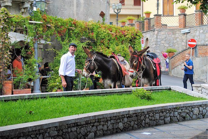 Private and Guided Godfather Tour from Taormina with Lunch - FAQ Section