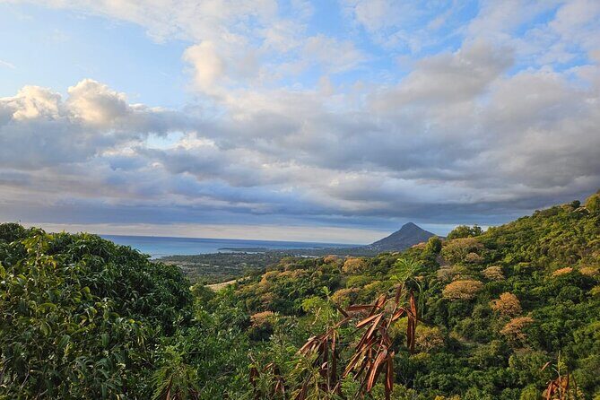 Private and Guided Tour of Mauritius South - Who Is This Tour Best For?