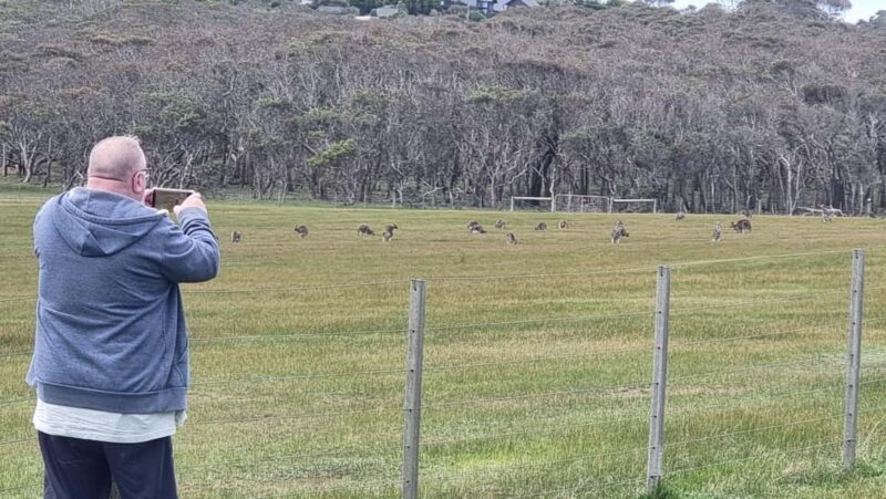 Private and Luxury Great Ocean Road and 12 Apostles Day Tour - Final Thoughts