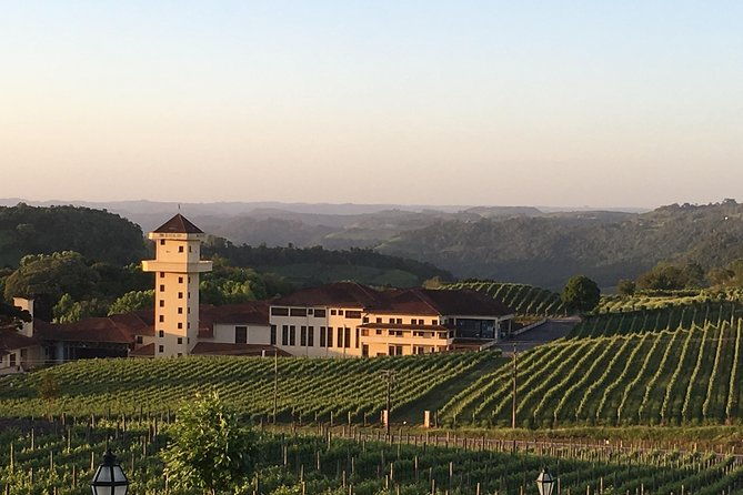 private-and-personalized-tour-in-bento-goncalves-rs-car-for-up-to-4-people