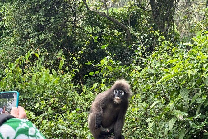 Private Ang Thong Marine Park Catamaran Charter From Koh Phangan - Exploring the Itinerary