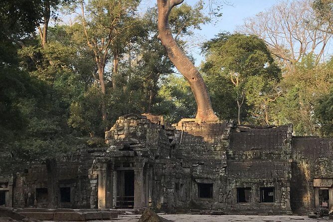 Private Angkor Wat Jeep Tour - Why Choose This Tour?