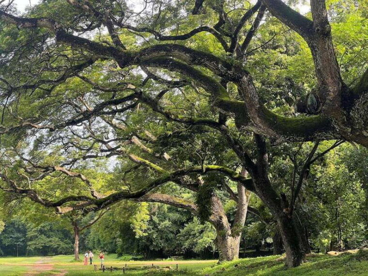 private-angkor-wat-sunrise-small-tour