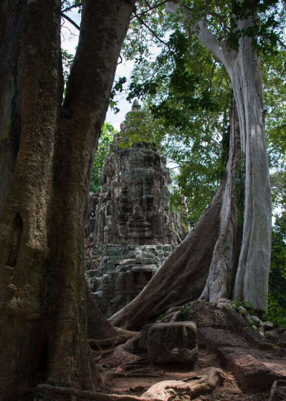 private-angkor-wat-temple-tour-2