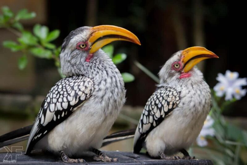 Private Animal Lovers Tour  Half Day - What Could Be Improved?