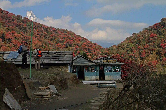 Private Annapurna Base Camp Trek - Practical Tips for Your Trek