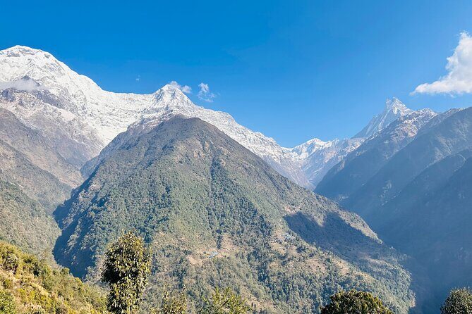 Private Annapurna Base Camp Trek - Itinerary Breakdown: What to Expect Each Day