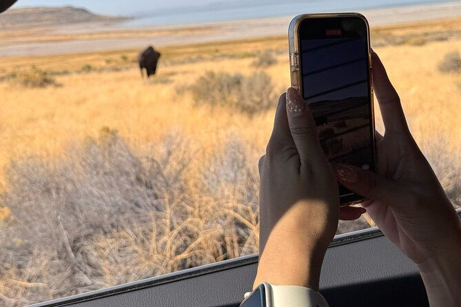 private-antelope-island-great-salt-lake-tour