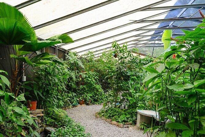 private-anton-valley-countryside-8-hours-tourpanama