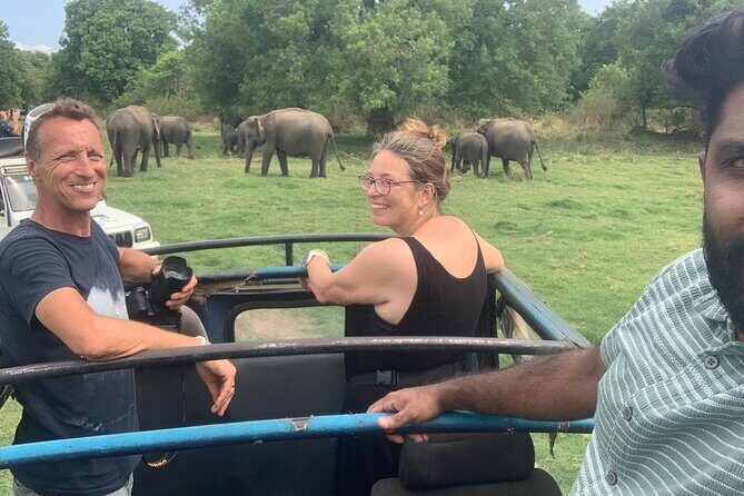 Private Anuradhapura & Wilpattu Safari Day Tour From Dambulla - Exploring the Itinerary in Detail