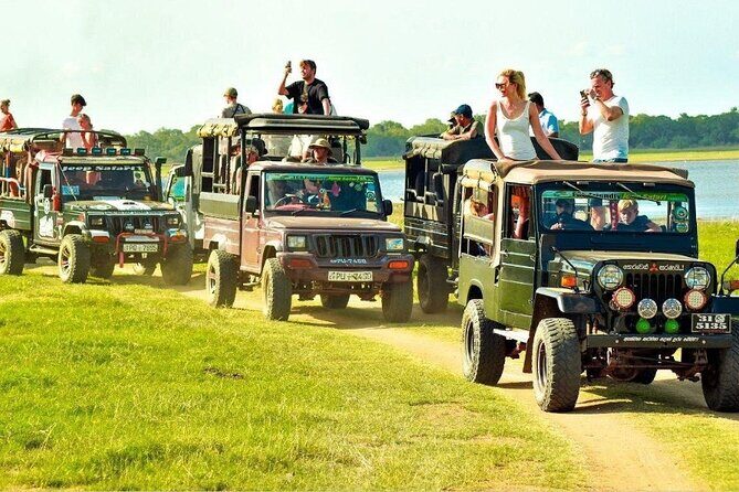 Private Anuradhapura & Wilpattu Safari Day Tour From Dambulla - FAQs