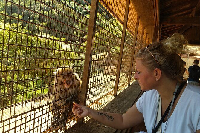 Private Arashiyama Tenryuji Temple Bamboo Grove and Monkeys Tour - Exploring Arashiyama’s Highlights: A Closer Look