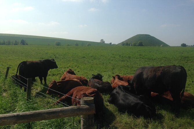 private-archaeologist-led-stonehenge-salisbury-and-avebury-tour