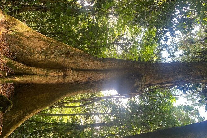 private-arenal-volcano-hike