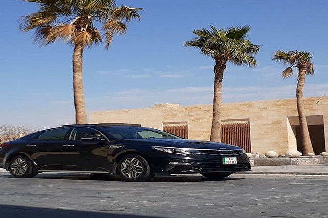 Private Arrival Transfer: Amman Airport to Aqaba Hotels - Who Is This Transfer Best For?