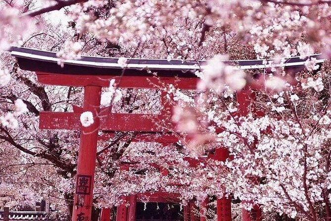 private-arrival-transfer-from-osaka-itami-international-airport-to-kyoto-city