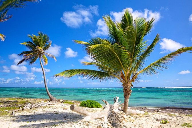 private-arrival-transfer-from-punta-cana-airport-puj-to-punta-cana