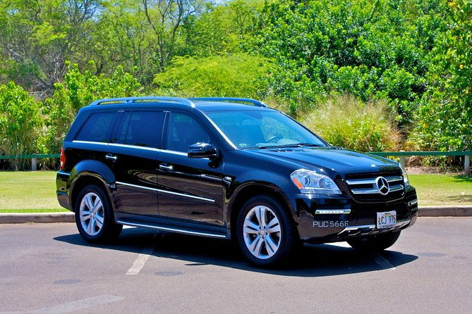private-arrival-transfer-honolulu-international-airport-to-oahu-hotels-or-cruise-terminal