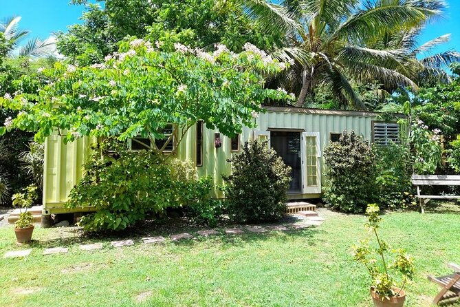 private-art-culture-tour-in-tortola-virgin-islands