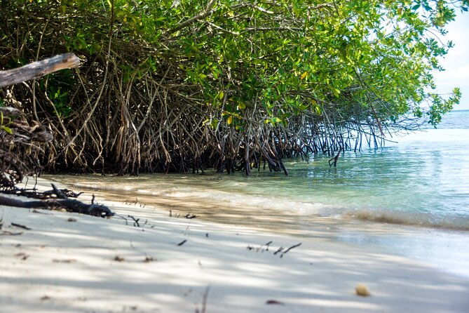private-aruba-beach-hop-and-snorkel-experience