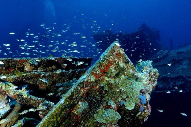 private-aruba-snorkeling-excursion-with-rum-punch