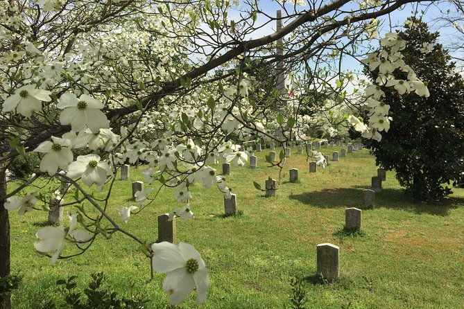 private-atlanta-history-tour-from-civil-war-to-civil-rights