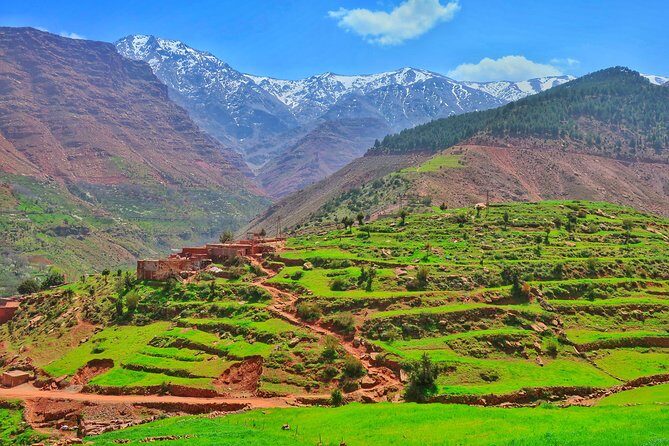 Private Atlas Mountains Day Trip - Final Thoughts: Who Will Love This Tour?