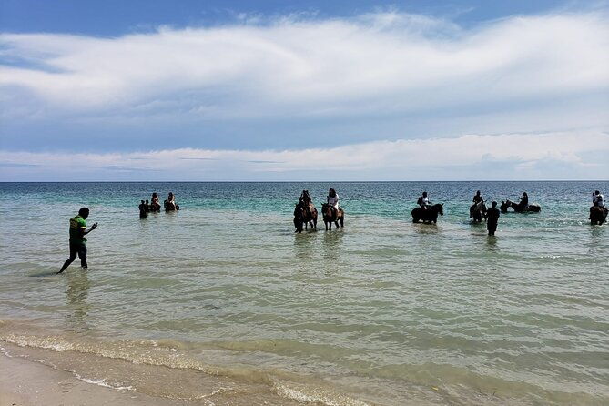 private-atv-horse-back-ride-blue-hole-experience-in-ocho-rios