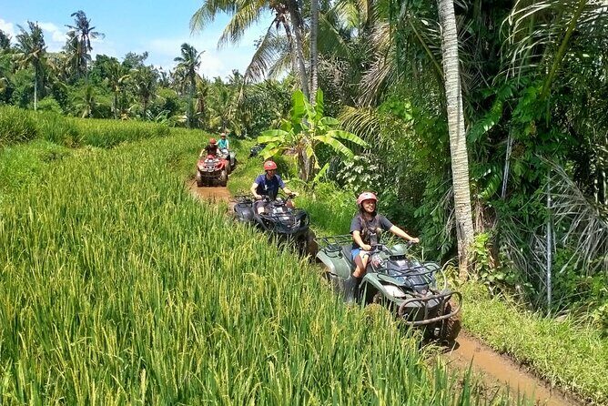 Private ATV Quad Bike Ride in Ubud - FAQ