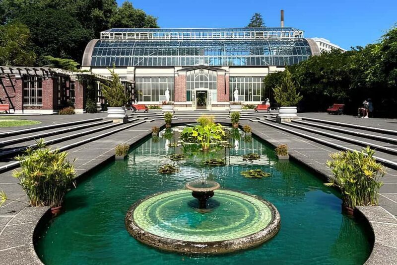 Private Auckland Best Top 5 Spots Half day Tour - Why This Tour Works for You
