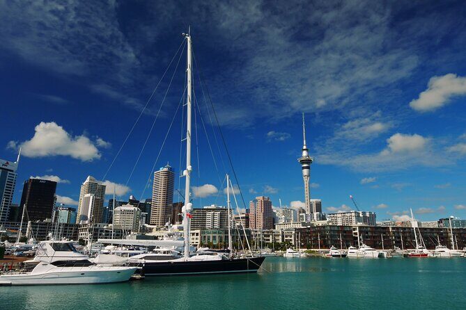 Private Auckland City Highlights Tour - Key Points