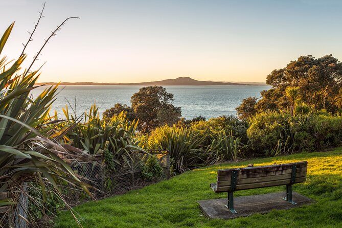 Private Auckland City Highlights Tour - How the Tour Works: An In-Depth Look