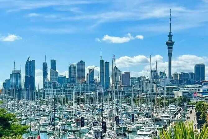 [PRIVATE] Auckland Half Day City Tour - Exploring the City Through an Expert Lens