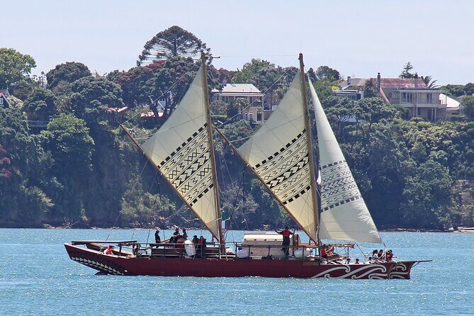 Private Auckland Personalised Half Day - An In-Depth Look at What You Can Expect
